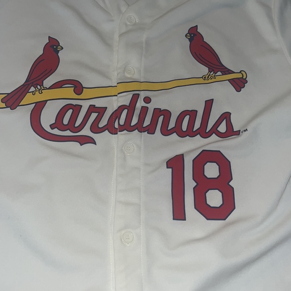 MLB St.Louis Cardinals SGA #18 Mike Shannon Goodwill Size XL Baseball Jersey - Picture 2 of 10